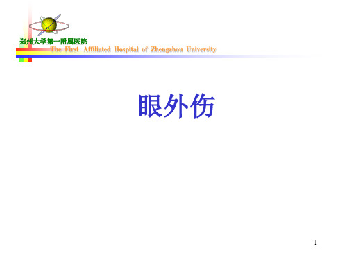 眼外伤基本PPT课件