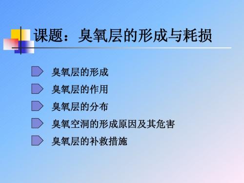 臭氧层空洞损耗