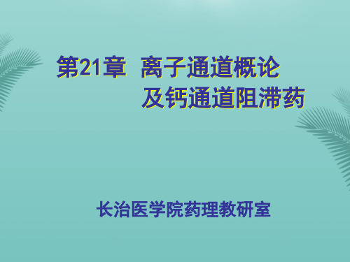 章离子通道和钙通道阻滞药.优秀精选PPT
