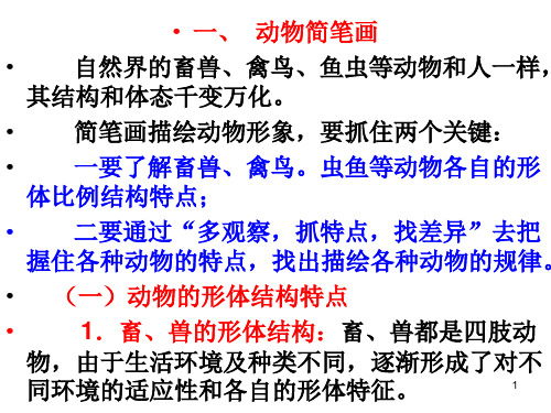 简笔画介绍大全