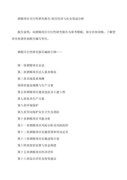 酒精项目可行性研究报告项目经济与社会效益分析