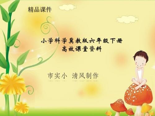 小学科学冀教版六年级下册高效课堂资料《11 小瓶子 大学问》课件2