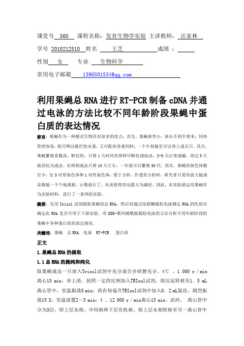 发育生物学实验论文