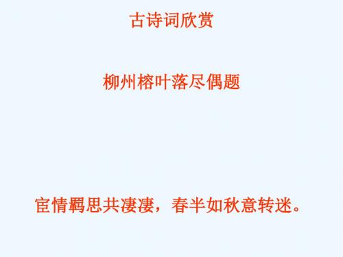 九年级语文上册 第四单元 15 诗人谈诗 宁静而深沉的意境讲义 苏教版