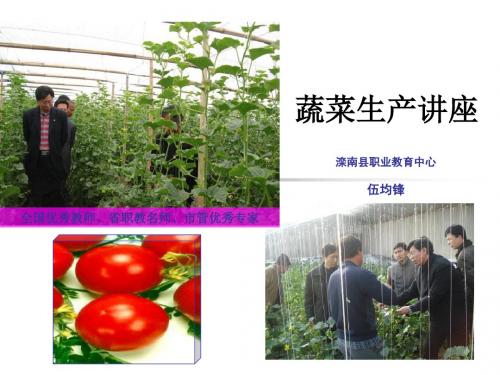 蔬菜生产讲座(伍均锋)