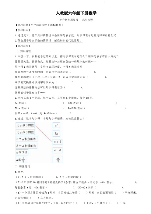 人教版六年级下册数学  小升初专项复习   式与方程