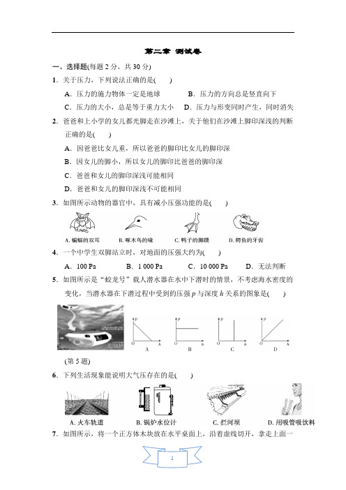 8年级上册科学华师版  第2章  压力  压强测试卷  含答案