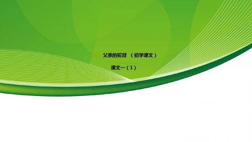 第五课 父亲的驼背   公开课