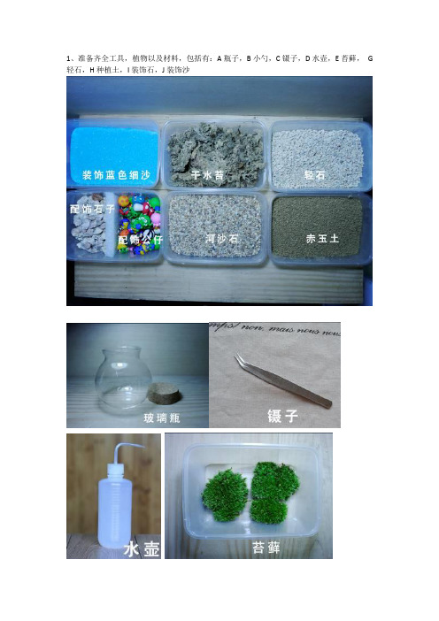 苔藓微景观制作方法