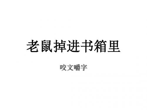 《咬文嚼字》ppt