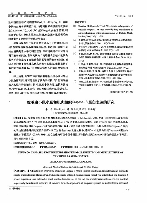 旋毛虫小鼠小肠和肌肉组织Caspase-3蛋白表达的研究