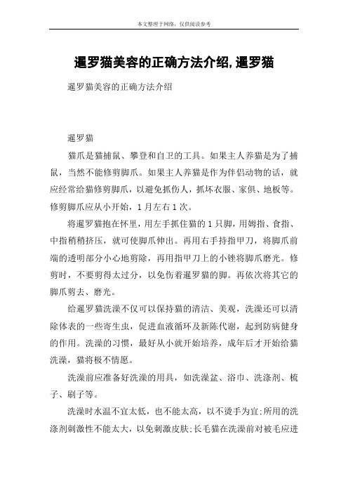 暹罗猫美容的正确方法介绍,暹罗猫