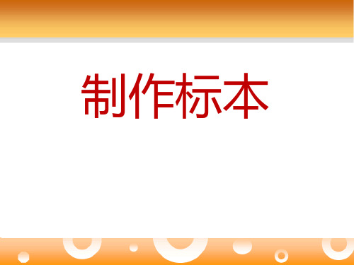 青岛版二年级上册数学 《制作标本》PPT教学课件