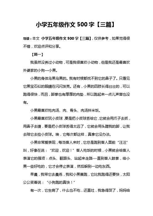 小学五年级作文500字【三篇】