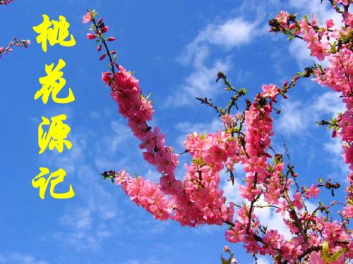 苏教版九年级语文上册桃花源记_课件(共26张PPT)