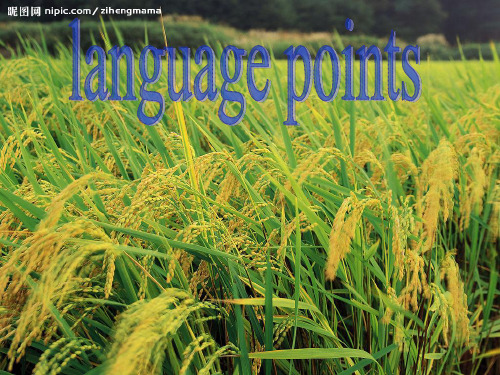 人教版英语必修四unit2 language points