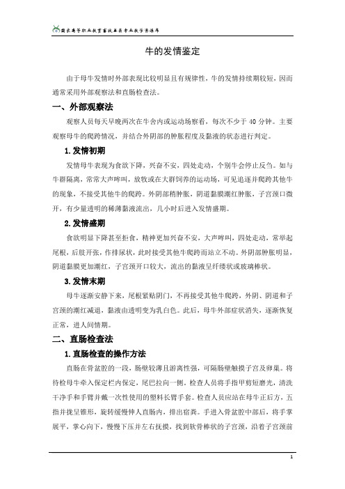 57牛的发情鉴定解析