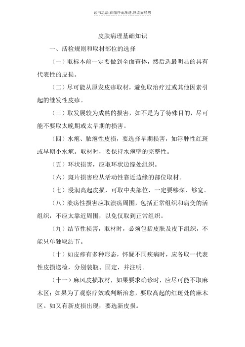 皮肤病理基础知识