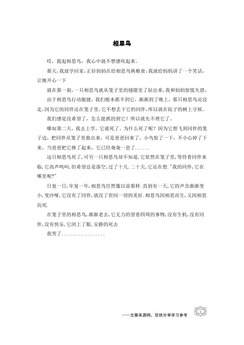 相思鸟