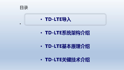 TD-LTE基本原理与关键技术