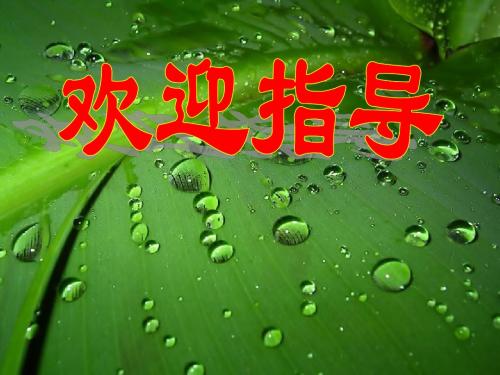 记叙文写作训练之细节描写