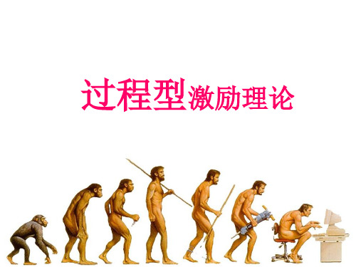 过程型激励理论介绍(ppt 33页)