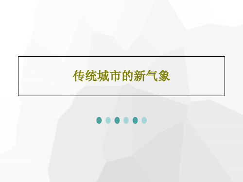 传统城市的新气象共21页