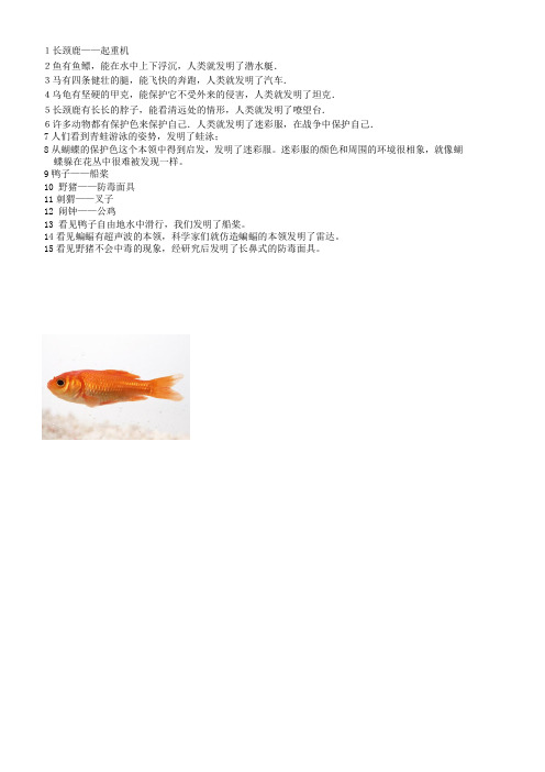 向动物学本领