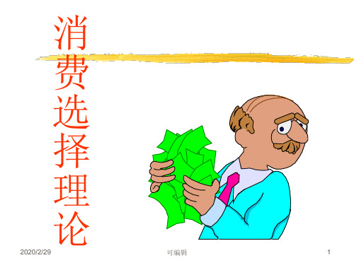 消费选择经济学基础PPT课件