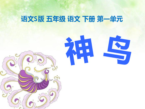 《神鸟》PPT教材课件