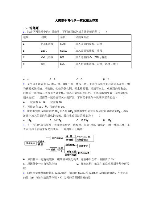 大庆市中考化学一模试题及答案