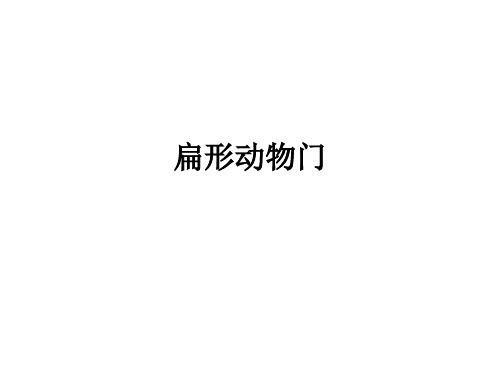 扁形动物门