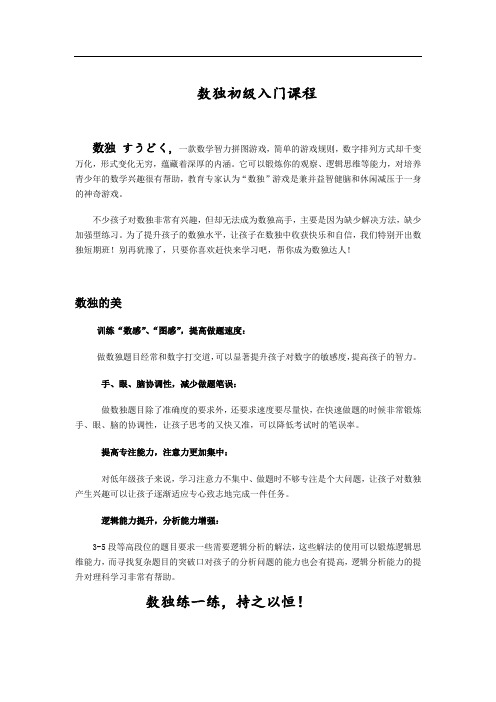 数独初级入门课程(10讲)