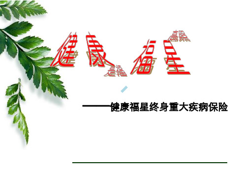 新华健康福星终身重大疾病保险38页
