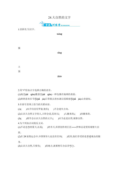 六年级上语文一课一练-24.大自然的文字 苏教版(含答案)