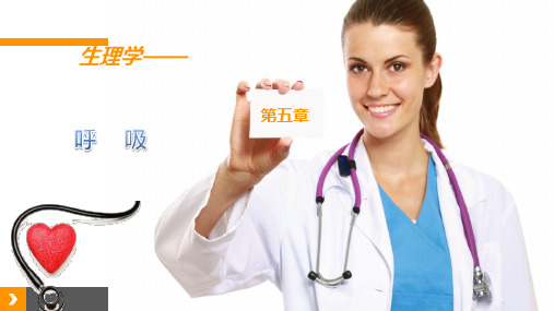 《生理学》第五章