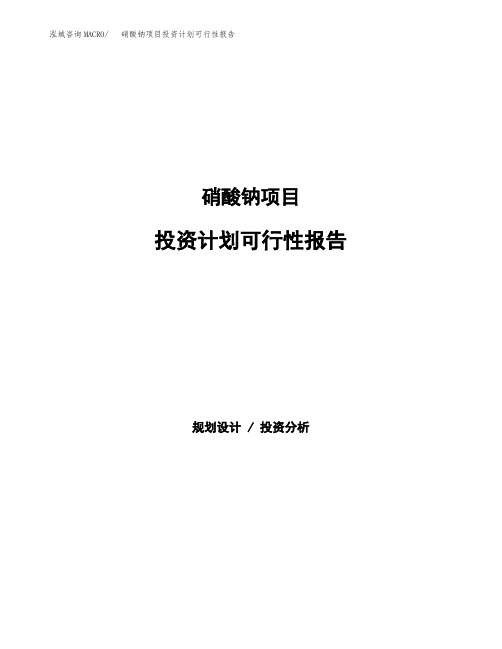 硝酸钠项目投资计划可行性报告(模板参考范文)
