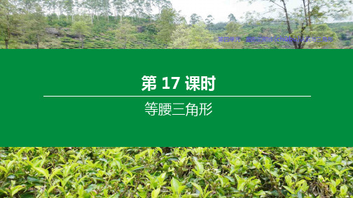 中考数学复习方案 第四单元 图形的初步认识与三角形 第17课时 等腰三角形课件