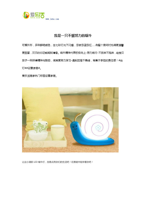 我是一只不懈努力的蜗牛