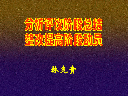 分析评议阶段总结.ppt