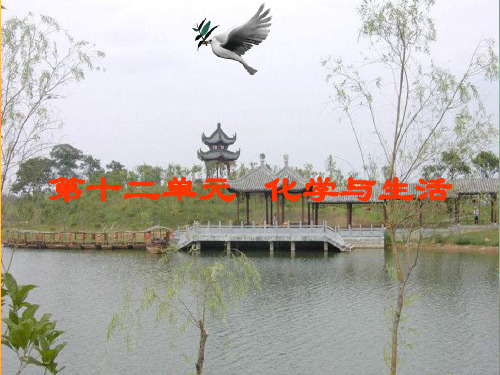 化学九下第十二单元课题1《人类重要的营养物质》讲课课件