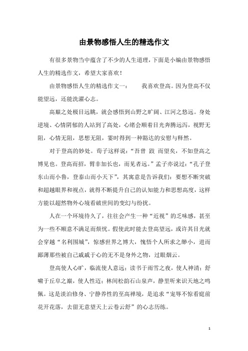 由景物感悟人生的精选作文