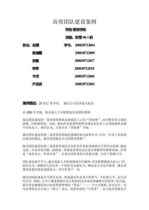 高效团队建设案例