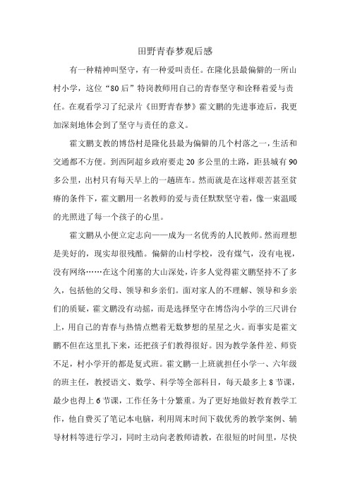 宋琳——田野青春梦观后感
