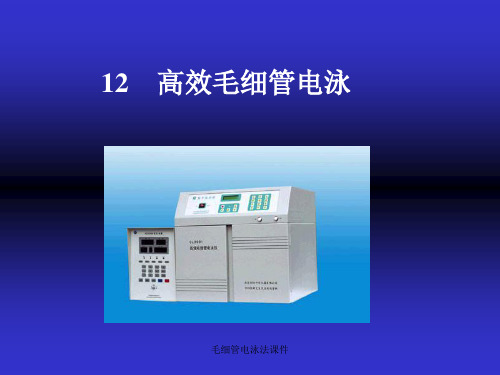 毛细管电泳法课件