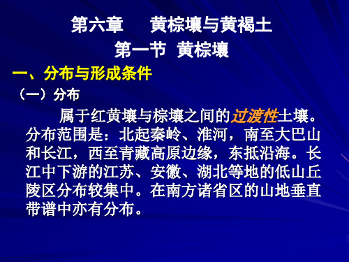 06黄棕壤与黄褐土(淋溶土纲)