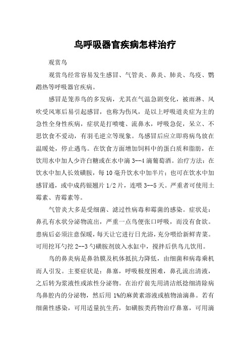 鸟呼吸器官疾病怎样治疗
