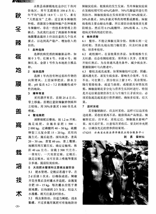 秋冬辣椒地膜覆盖高产栽培技术