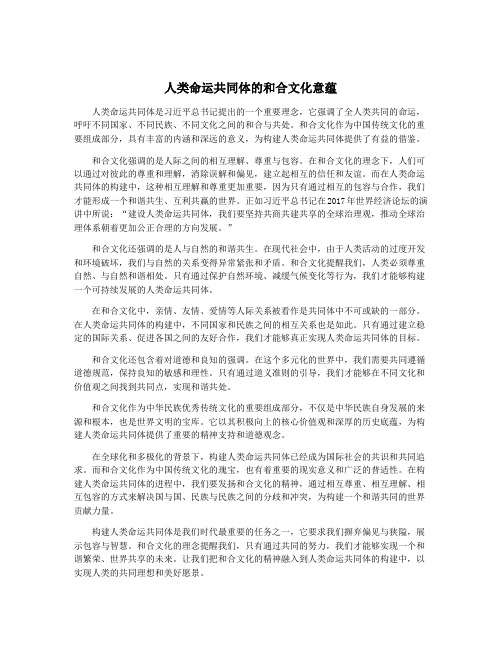 人类命运共同体的和合文化意蕴