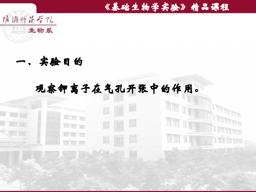 钾离子对气孔开度的影响
